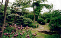 And the Winner of the Garden Instrument Contest Is…