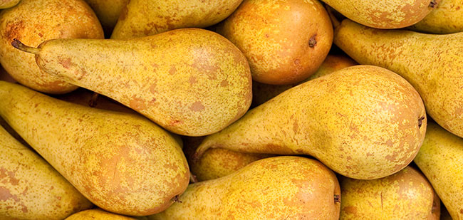 1190747_93164238 1190747_93164238