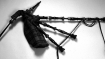bagpipes
